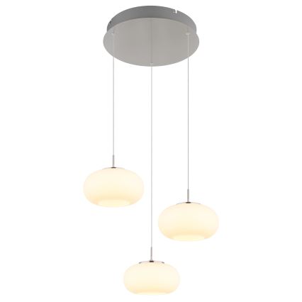 Globo - LED Lestenec na vrvici 3xLED/6W/230V