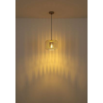 Globo - Viseča svetilka na kabel 1xE27/40W/230V Ø 28 cm