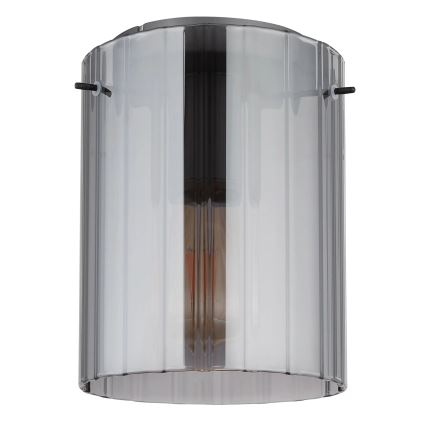 Globo - Stropna svetilka 1xE27/40W/230V pr. 18 cm siva