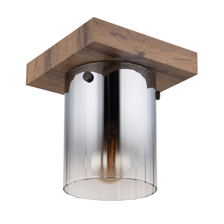 Globo - Stropna svetilka 1xE27/40W/230V