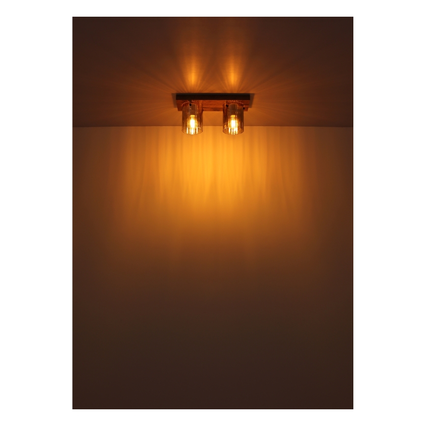 Globo - Stropna svetilka 2xE27/40W/230V