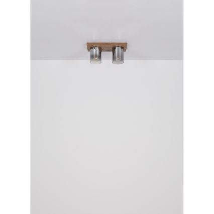 Globo - Stropna svetilka 2xE27/40W/230V