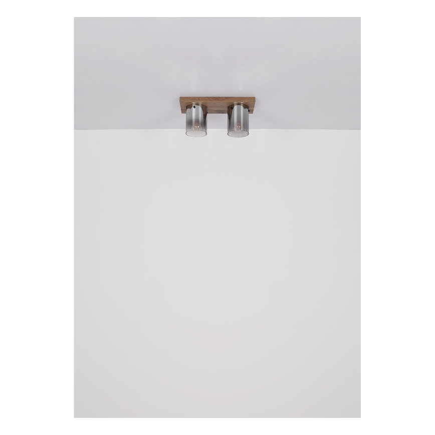 Globo - Stropna svetilka 2xE27/40W/230V