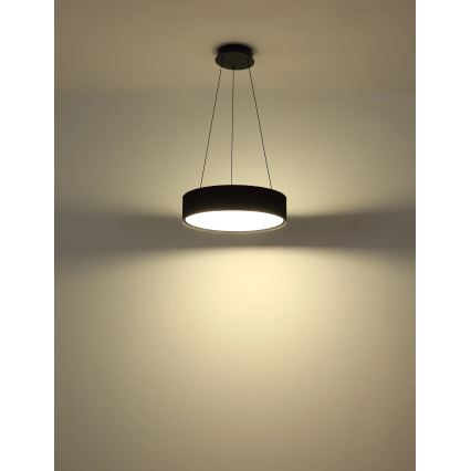 Globo - LED lestenec na kablu LED/45W/230V 2700/4000/6000K, premer 46 cm, črna