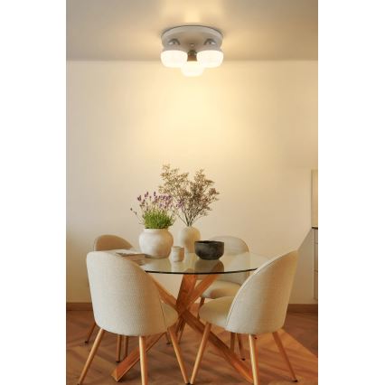 Globo - stropna svetilka 3xE27, 60 W, 230 V, premer 31,5 cm