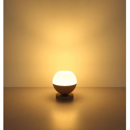 Globo - Namizna svetilka 1xE27/60W/230V