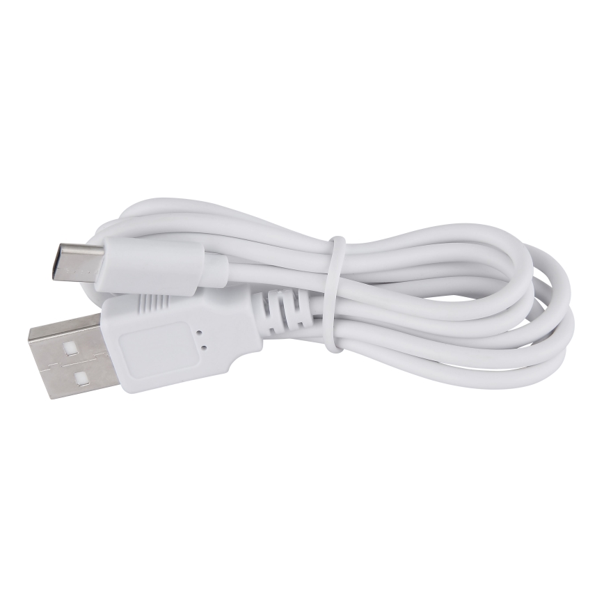 Globo - LED Zatemnitvena namizna svetilka na dotik LED/2W/5V 1200 mAh USB prozorna