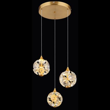 Globo - LED lestenec na kablu LED/24W/230V 3000K zlata