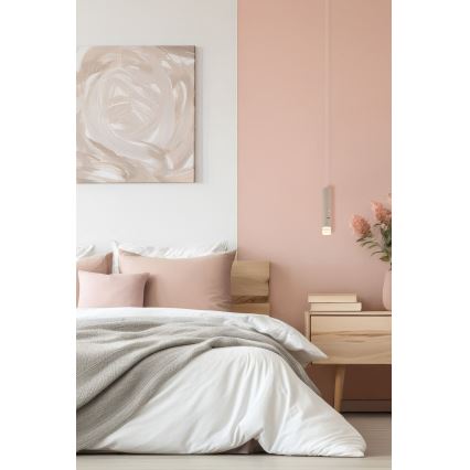 Globo - LED zatemnljiva svetilka na dotik, polnilna 2 v 1 LED/2W/230/5V