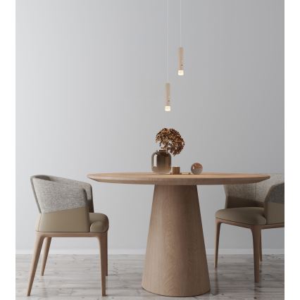 Globo - LED zatemnljiva svetilka na dotik, polnilna 2 v 1 LED/2W/230/5V