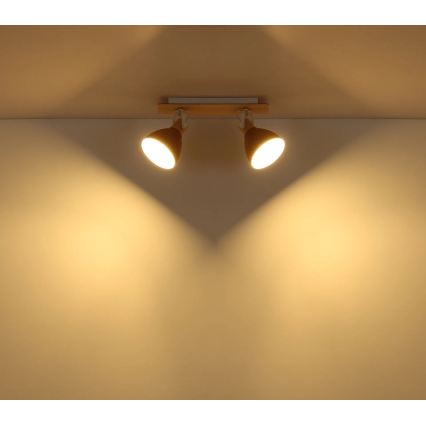 Globo - Točkovno svetilo 2xE14/40W/230V