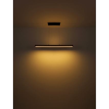 Globo - LED zatemnjevalna viseča svetilka z dotikom na kablu LED/24W/230V + LED/3W 3000K rjava