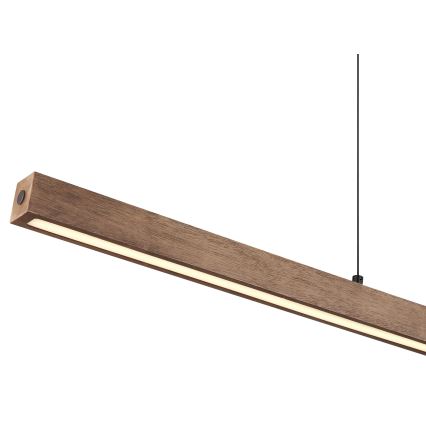 Globo - LED zatemnjevalna viseča svetilka z dotikom na kablu LED/24W/230V + LED/3W 3000K rjava
