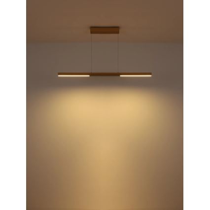 Globo - LED lestenec na kablu LED/24W/230V 3000K