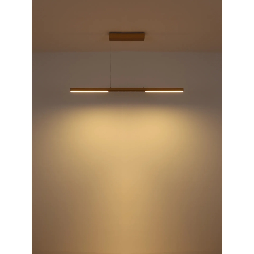 Globo - LED lestenec na kablu LED/24W/230V 3000K