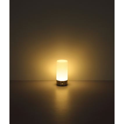 Globo - LED RGBW Zatemnitvena na dotik zunanja namizna svetilka LED/1,8W/5V 1500 mAh IP44 mat krom