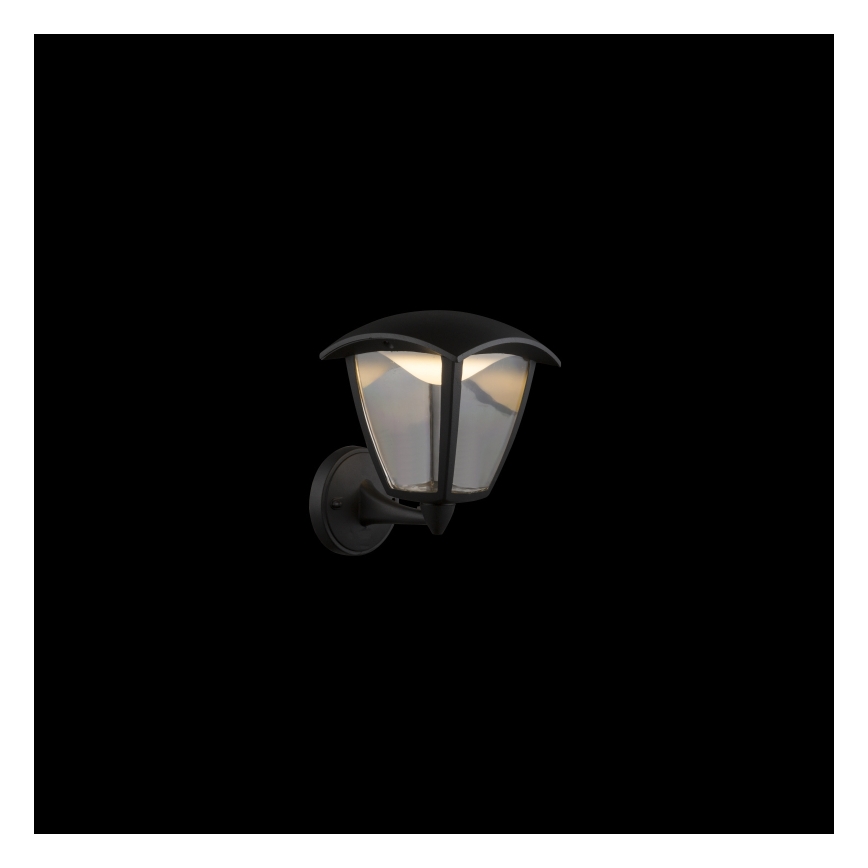 Globo - LED Zunanja stenska svetilka LED/7W/230V IP54