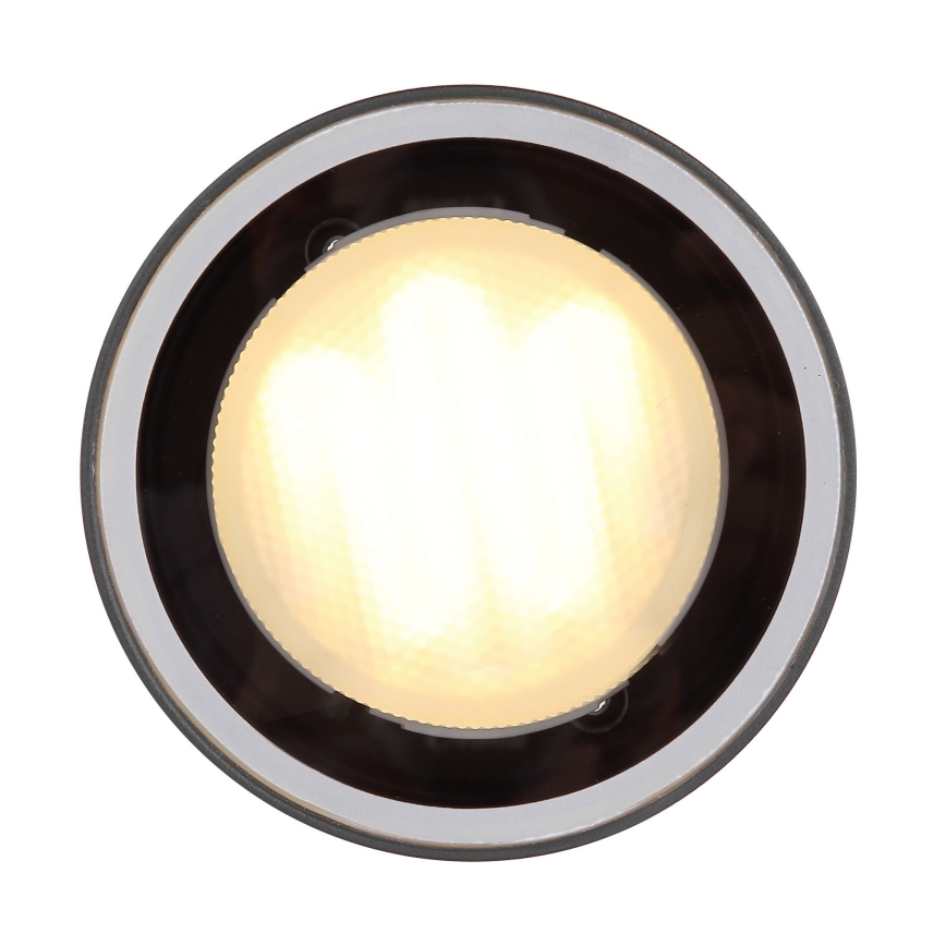 Globo - Zunanja stropna svetilka 1xGX53/11W/230V IP44