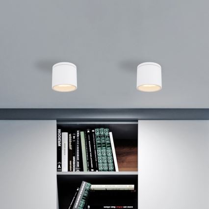 Globo - Zunanja stropna svetilka 1xGX53/11W/230V IP44