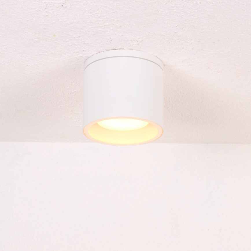 Globo - Zunanja stropna svetilka 1xGX53/11W/230V IP44