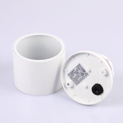 Globo - Zunanja stropna svetilka 1xGX53/11W/230V IP44