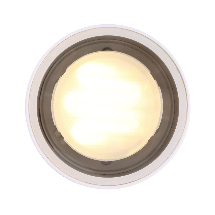 Globo - Zunanja stropna svetilka 1xGX53/11W/230V IP44