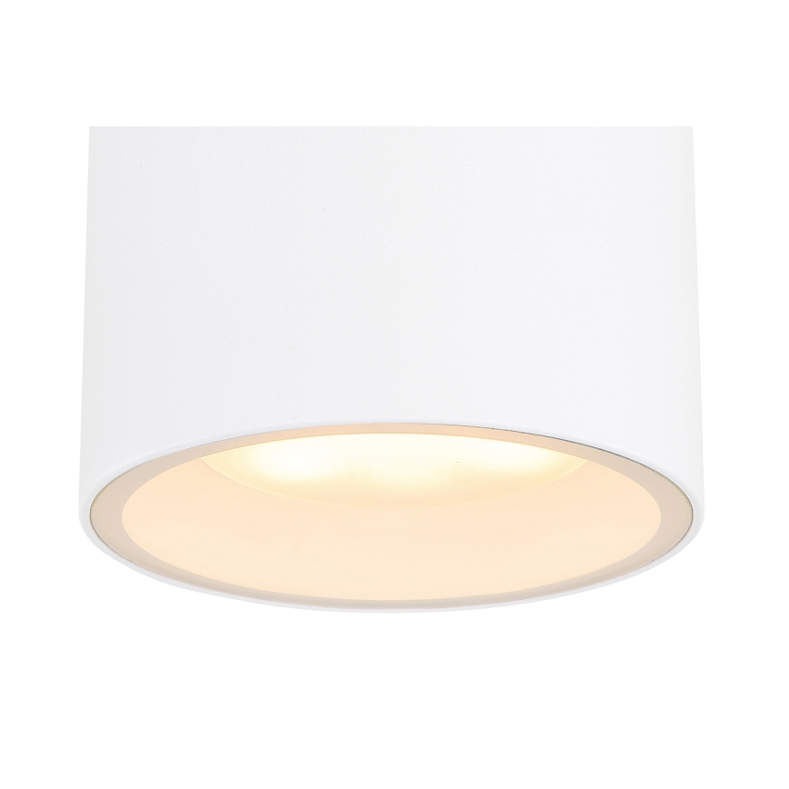 Globo - Zunanja stropna svetilka 1xGX53/11W/230V IP44