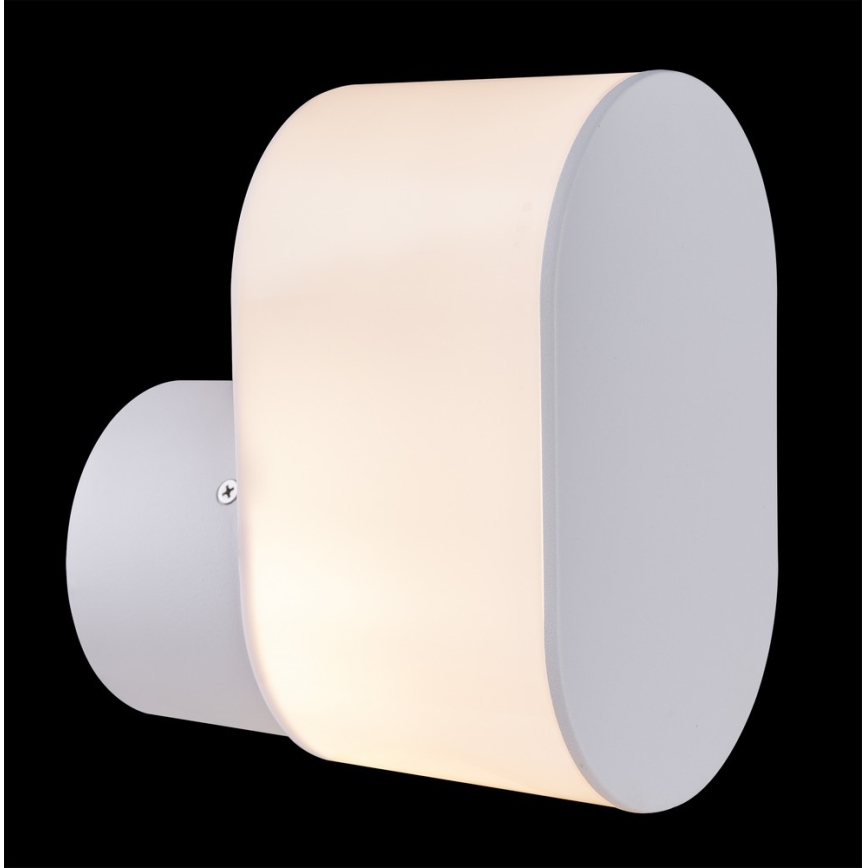 Globo 32101W - Zunanja stenska svetilka SALLI 1xE27/60W/230V IP44