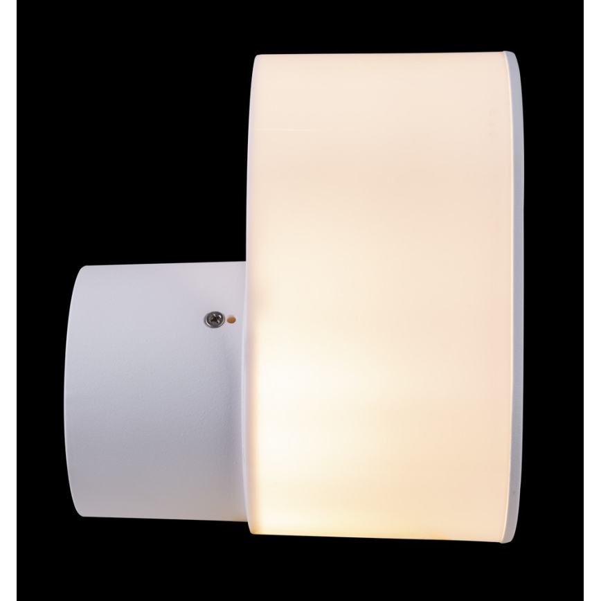 Globo 32101W - Zunanja stenska svetilka SALLI 1xE27/60W/230V IP44