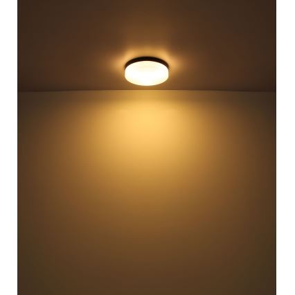 Globo - Kopalniška svetilka 1xE27/60W/230V pr. 18,4 cm IP44