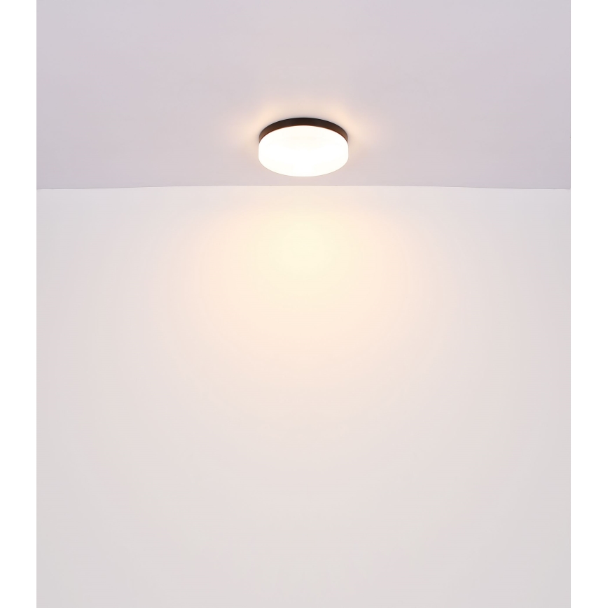 Globo - Kopalniška svetilka 1xE27/60W/230V pr. 18,4 cm IP44