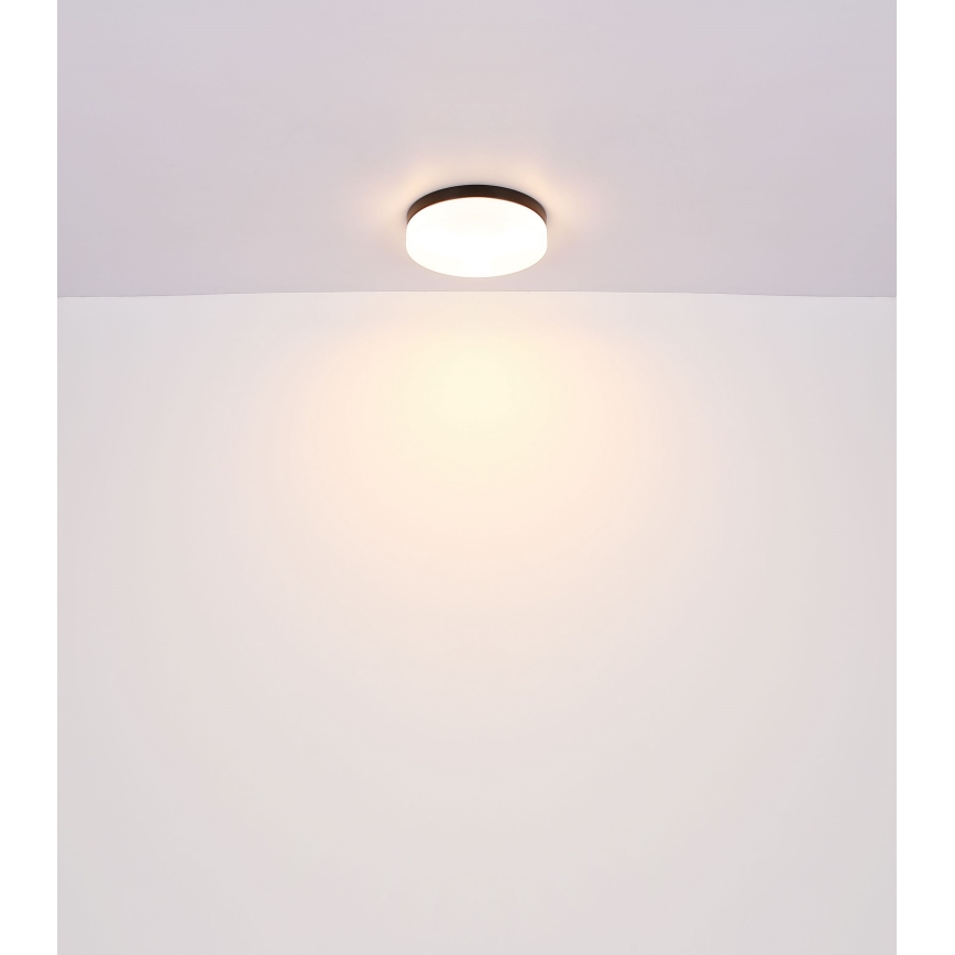 Globo - Kopalniška svetilka 2xE27/60W/230V pr. 24 cm IP44