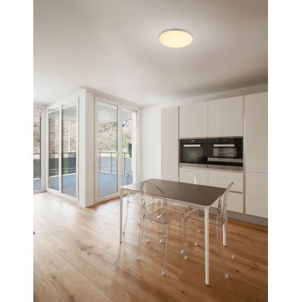 Globo - LED zunanja stropna svetilka LED/24W/230V IP54