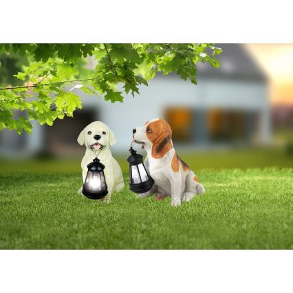 Globo - LED solarno svetilo LED/0,06W/3V pes IP44 600 mAh