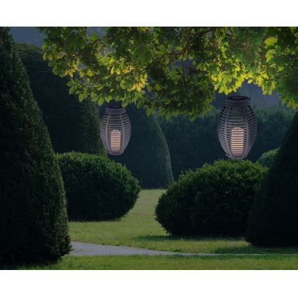 Globo - LED Solarna svetilka LED/0,06W/3,2V IP44 200 mAh ratan