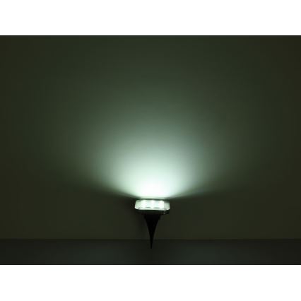 Globo - SET 2x LED Solarna svetilka LED/0,8W/1,2V IP44 300 mAh