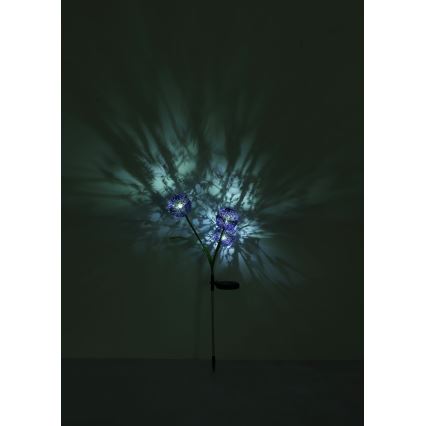 Globo - LED Solarna svetilka 3xLED/0,06W/3V 5000K IP44 vijolična
