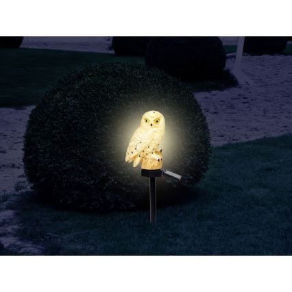 Globo - LED Solarna svetilka LED/0,06W/3V IP44 sovica