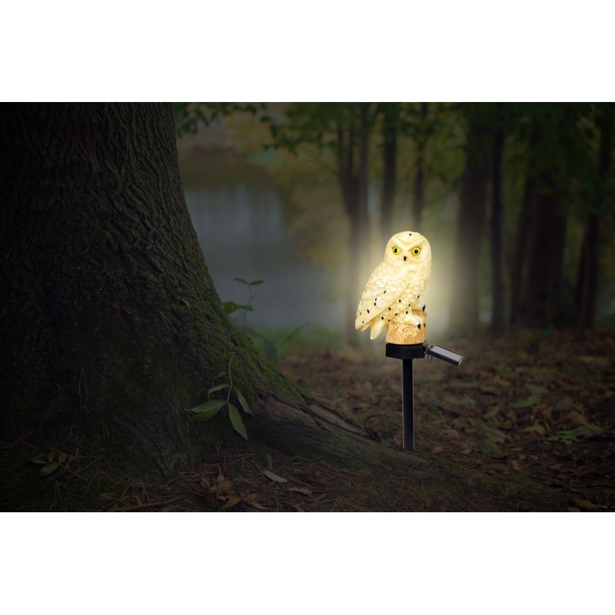 Globo - LED Solarna svetilka LED/0,06W/3V IP44 sovica