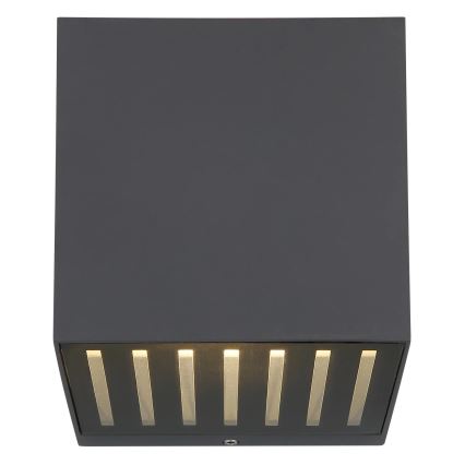 Globo - LED zunanje stensko svetilo LED/6W/230V IP54 antracit