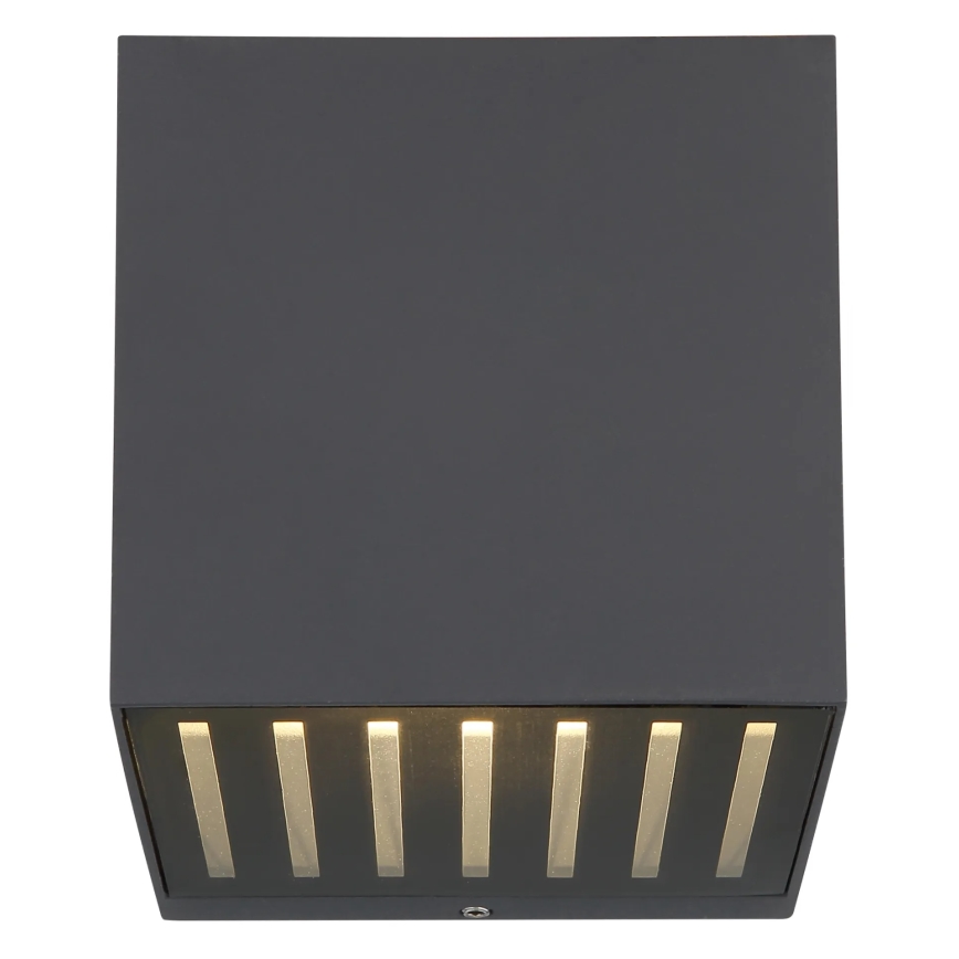 Globo - LED zunanje stensko svetilo LED/6W/230V IP54 antracit