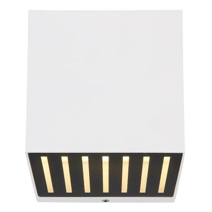 Globo - LED zunanji stenski svetilec LED/6W/230V IP54 bela