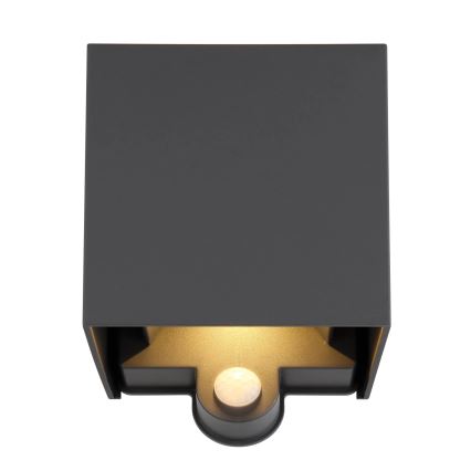 Globo - LED zunanja stenska svetilka s senzorjem 2xLED/3W/230V IP54