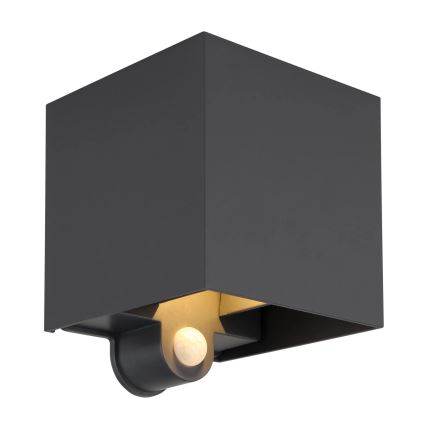 Globo - LED zunanja stenska svetilka s senzorjem 2xLED/3W/230V IP54