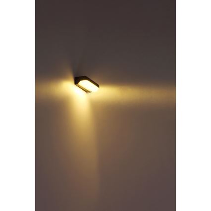Globo - LED Zunanja stenska svetilka LED/10W/230V IP54