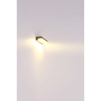 Globo - LED Zunanja stenska svetilka LED/20W/230V IP54