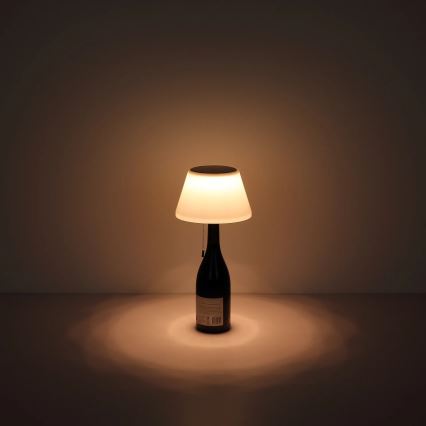Globo - LED Solarna steklenica lampshade 10xLED/1,5W/3V IP44