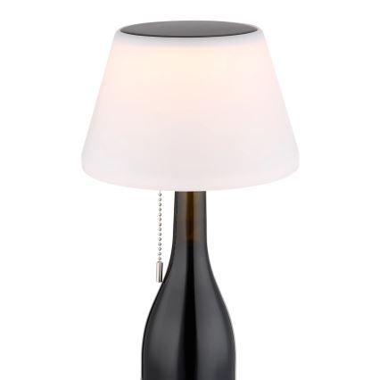 Globo - LED Solarna steklenica lampshade 10xLED/1,5W/3V IP44