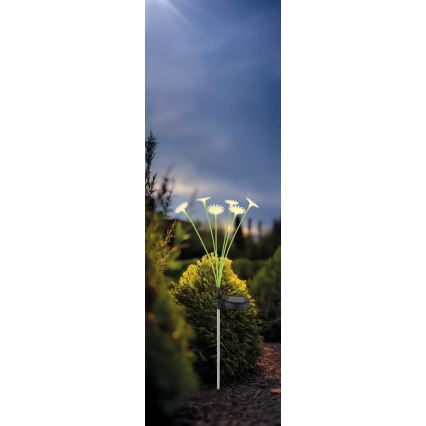 Globo - LED solarno svetilo 6xLED/3V IP44 600 mAh cvet