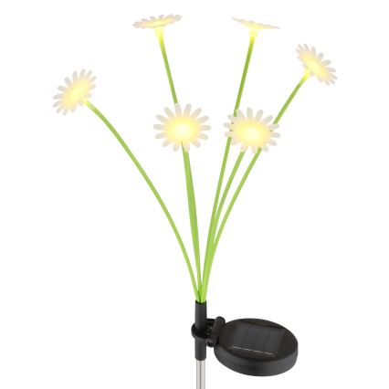 Globo - LED solarno svetilo 6xLED/3V IP44 600 mAh cvet